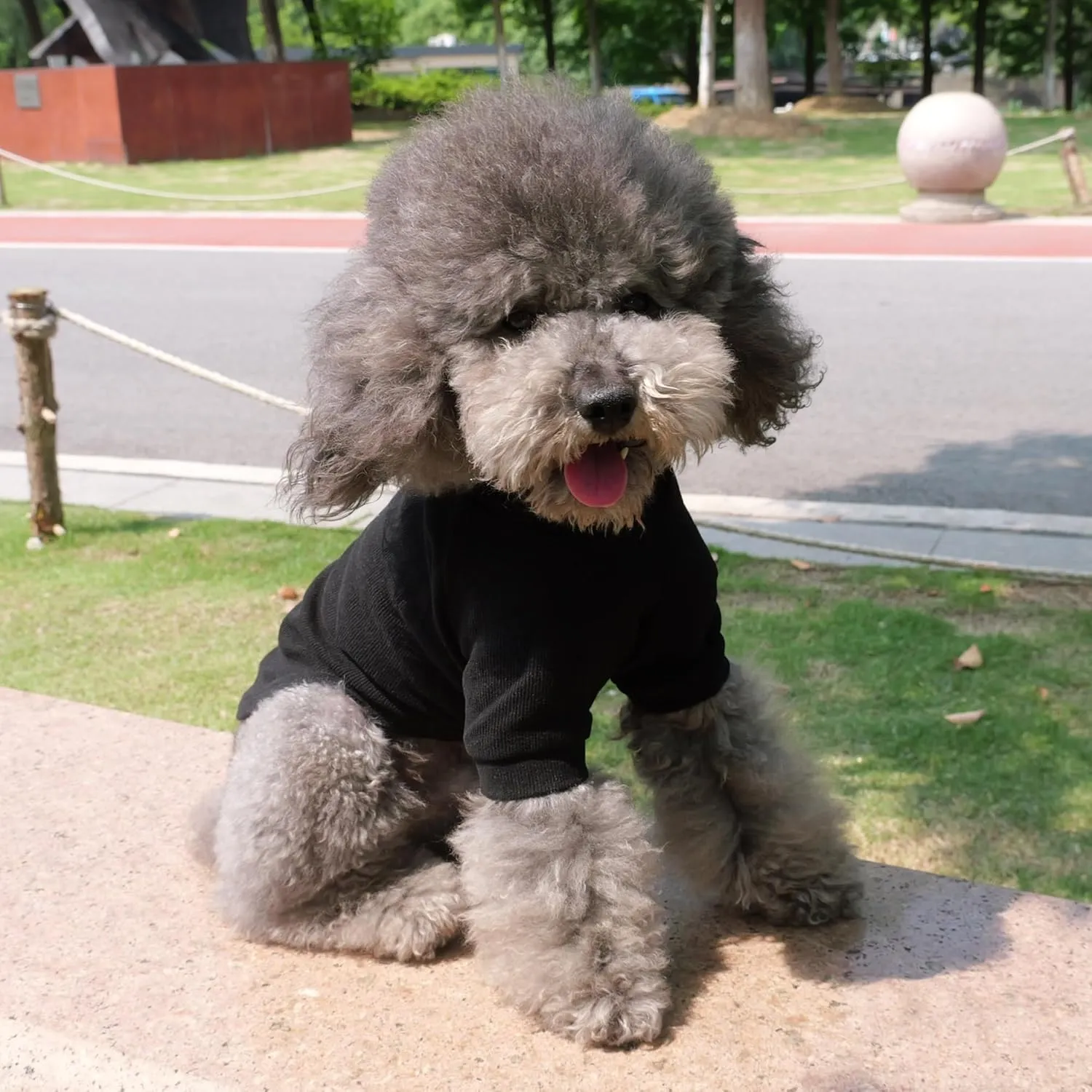 Lovelonglong Ribbed Dog T-Shirt Cotton Knitted Dog Sweaters for All Season Pet T-Shirts for Large Medium Small Dogs Black S