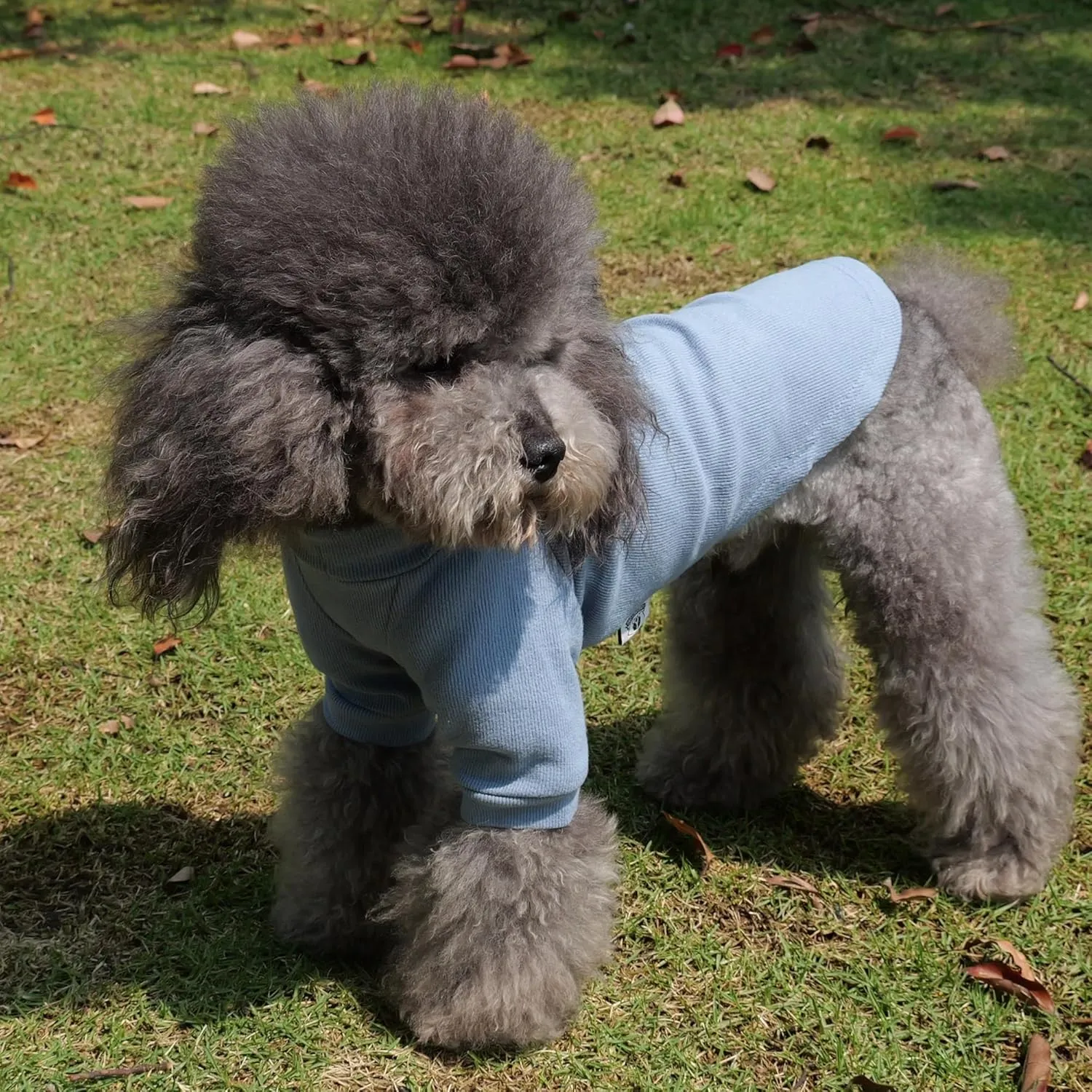Lovelonglong Ribbed Dog T-Shirt Cotton Knitted Dog Sweaters for All Season Pet T-Shirts for Large Medium Small Dogs Grayish Blue 3XL