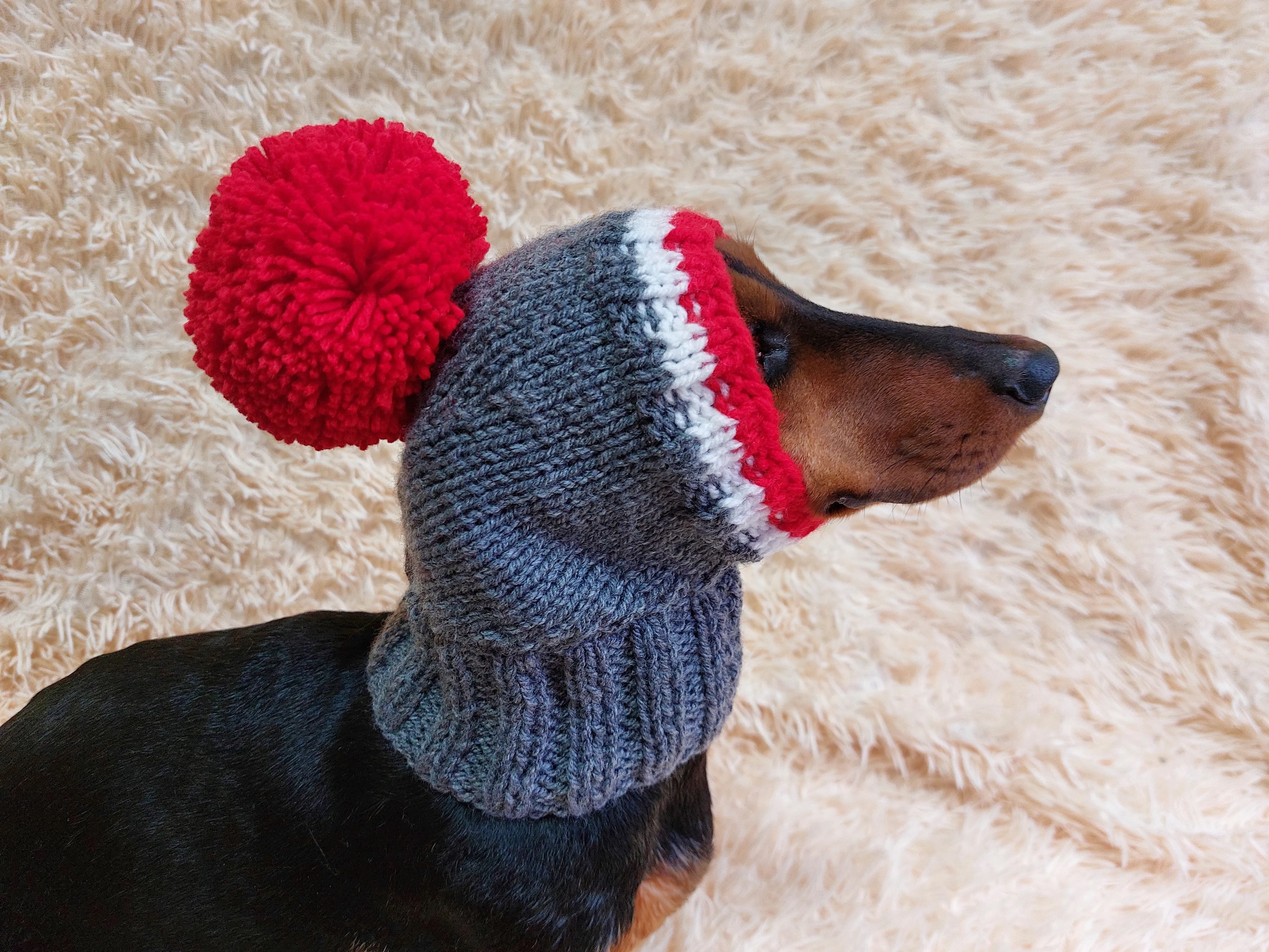 Monkey pet hat with big pompom, warm winter dog hat with pompom
