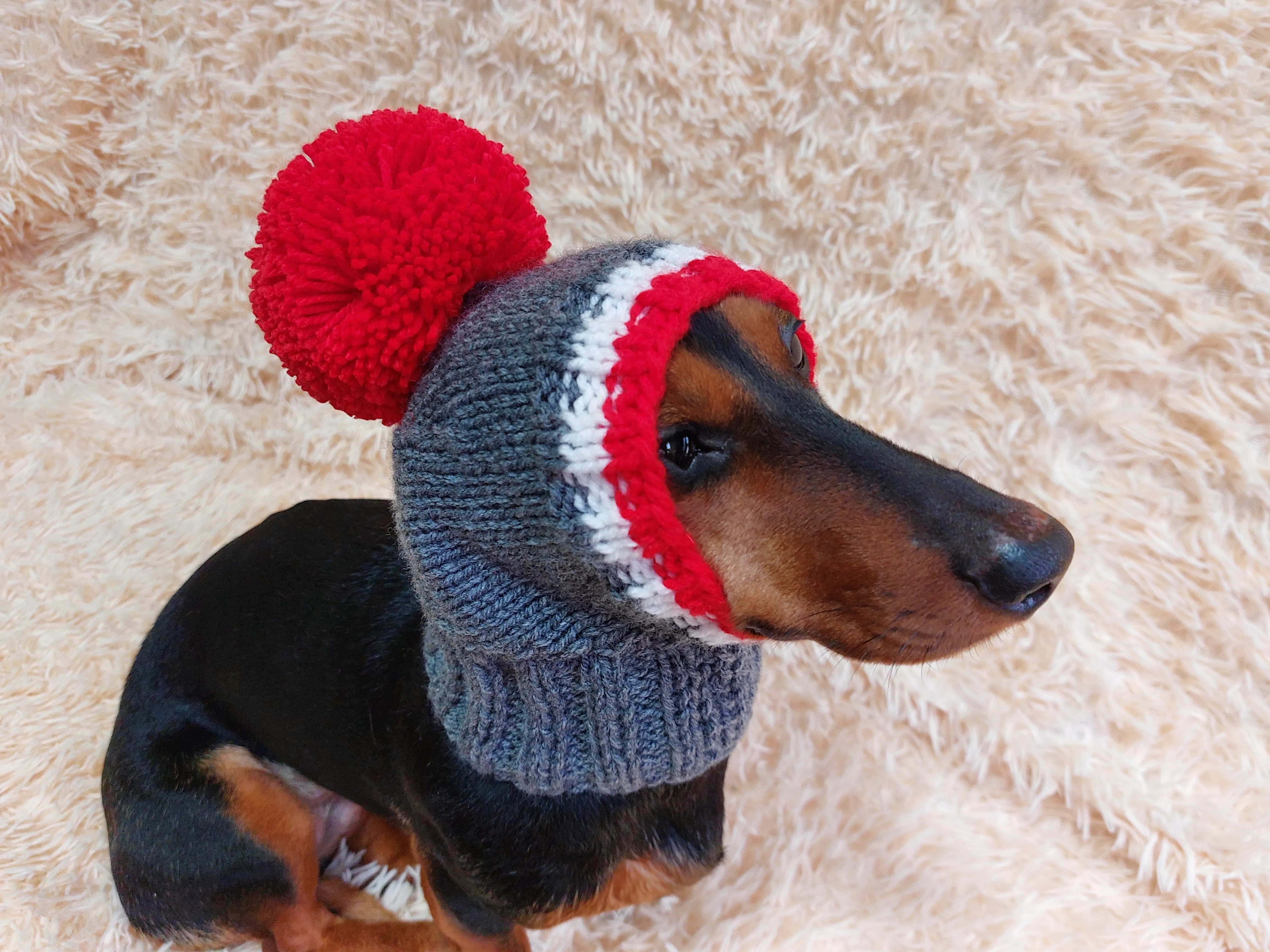 Monkey pet hat with big pompom, warm winter dog hat with pompom