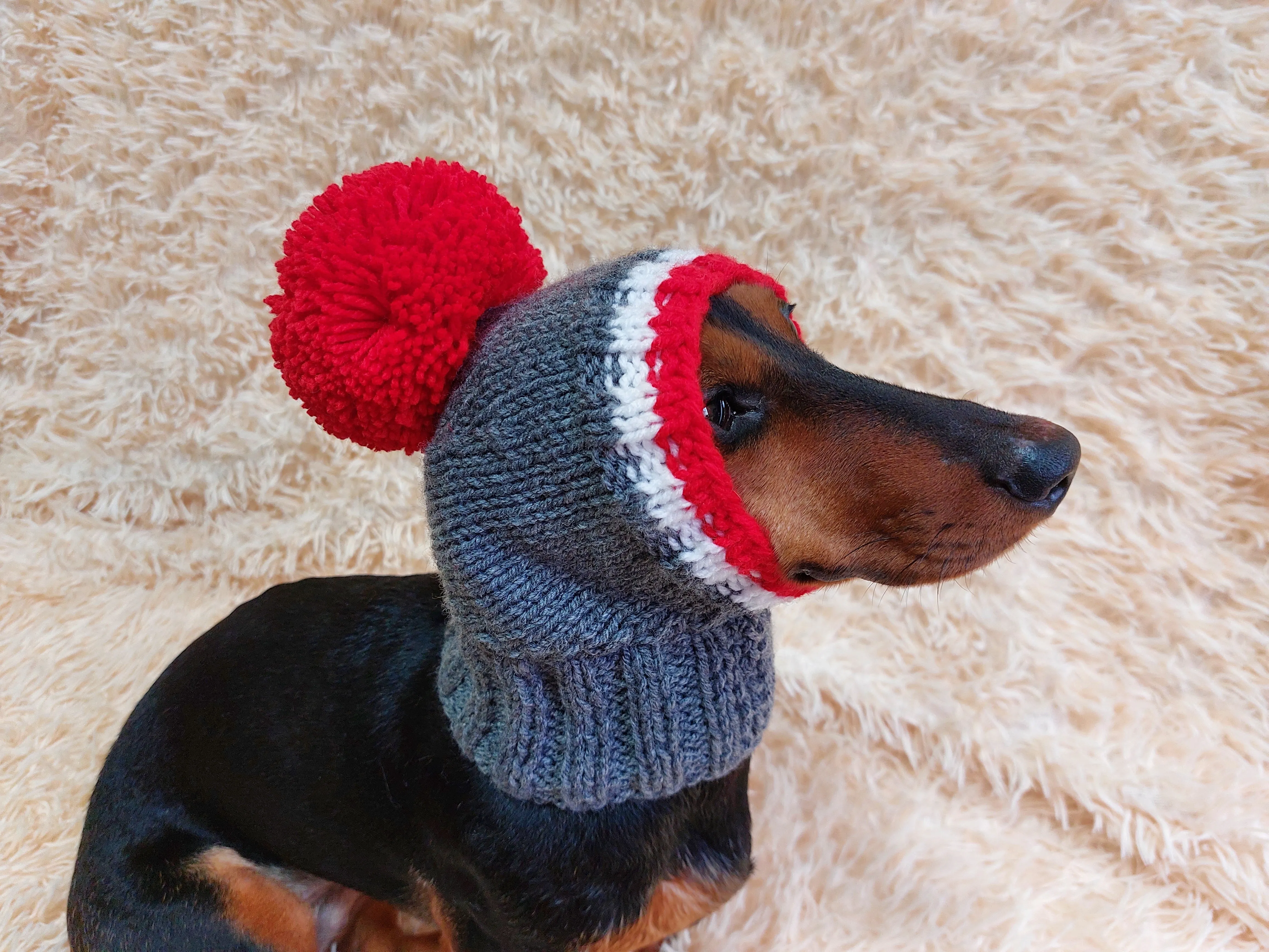 Monkey pet hat with big pompom, warm winter dog hat with pompom