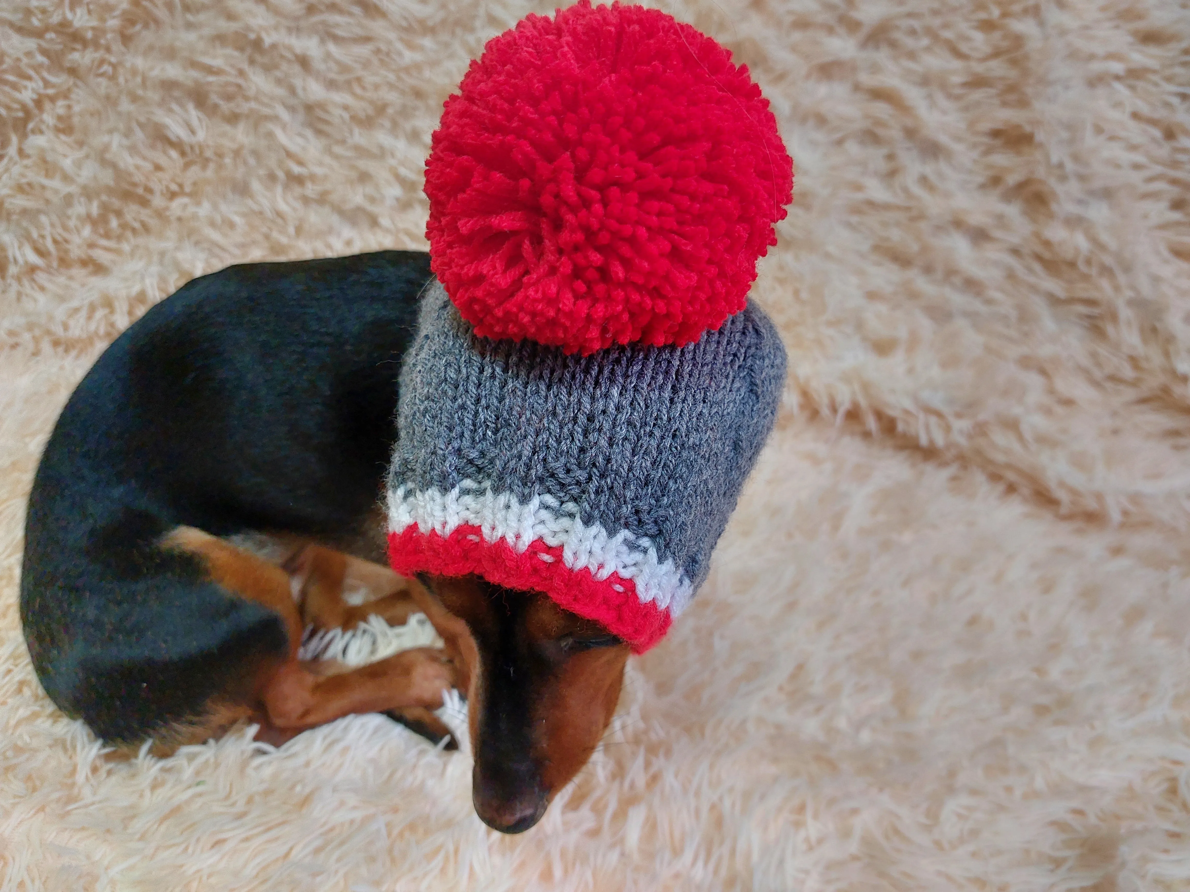 Monkey pet hat with big pompom, warm winter dog hat with pompom