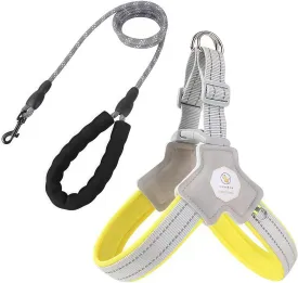 No-Pull Dog Harness and Leash Set for Small/Medium Dogs - Reflective Adjustable Soft Padded Vest with 5FT Rope, Escape-Proof Y-Shape Design (Yellow, S: 8-22 lbs)