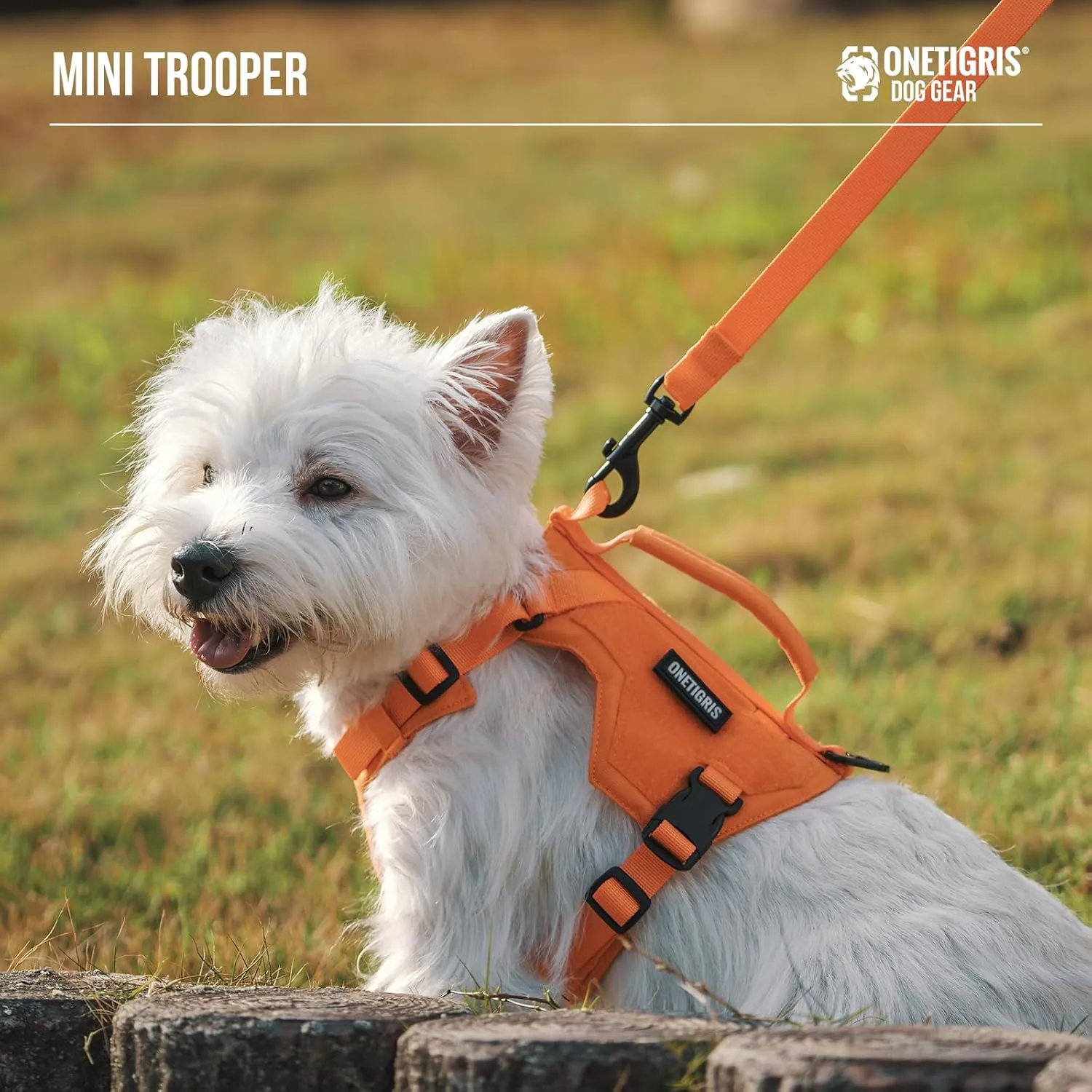 Onetigris Small Harness Dog Harness and Leash Set,Mini Trooper No Pull Dog Vest Fully Adjustable Harness for Puppy Dog and Cats, Dog Vest Harness for XXXS XXS XS Pets (Orange, XXXS)