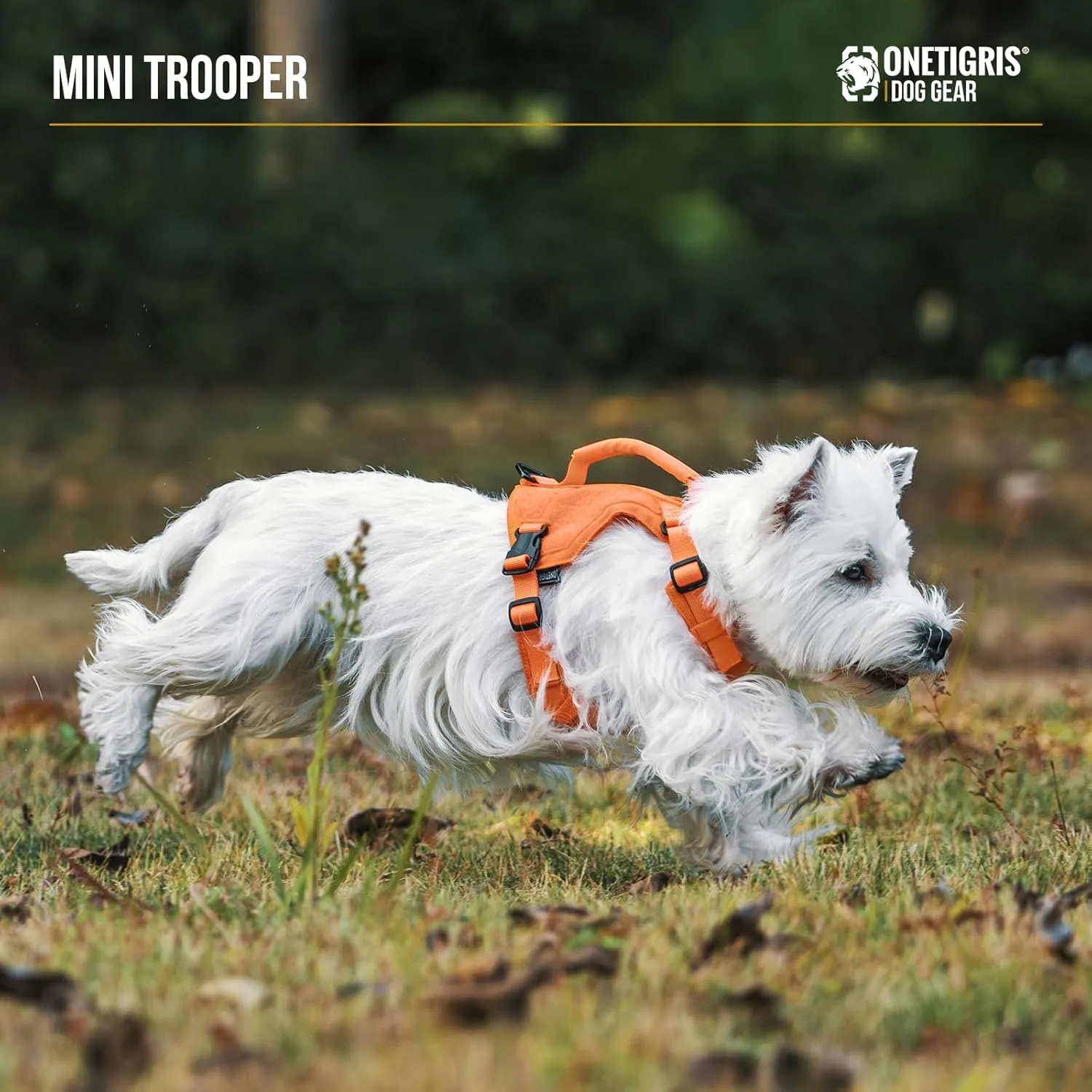 Onetigris Small Harness Dog Harness and Leash Set,Mini Trooper No Pull Dog Vest Fully Adjustable Harness for Puppy Dog and Cats, Dog Vest Harness for XXXS XXS XS Pets (Orange, XXXS)