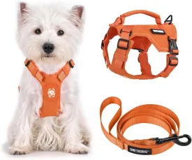 Onetigris Small Harness Dog Harness and Leash Set,Mini Trooper No Pull Dog Vest Fully Adjustable Harness for Puppy Dog and Cats, Dog Vest Harness for XXXS XXS XS Pets (Orange, XXXS) Onetigris Small Harness Dog Harness and Leash Set,Mini Trooper No Pull Dog Vest Fully Adjustable Harness for Puppy Dog and Cats, Dog Vest Harness for XXXS XXS XS Pets (Orange, XXXS)