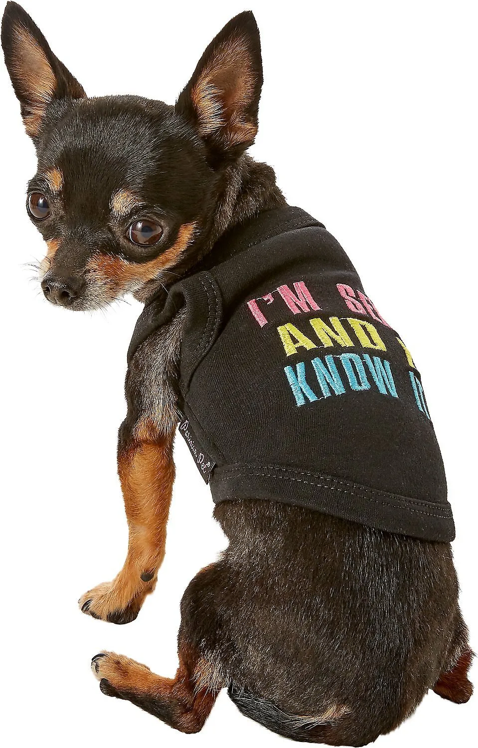 Parisian Pet Sexy And I Know It Dog & Cat T-Shirt