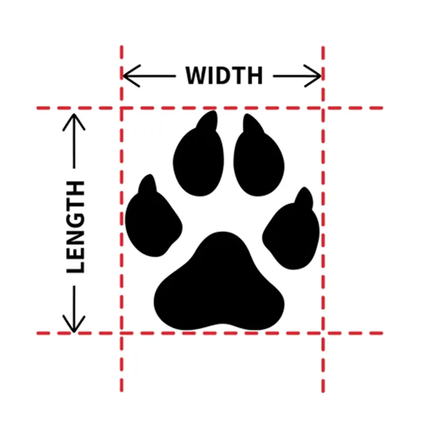Pat and Pet Emporium | Pet Shoes | Paw Protector Dog Shoes