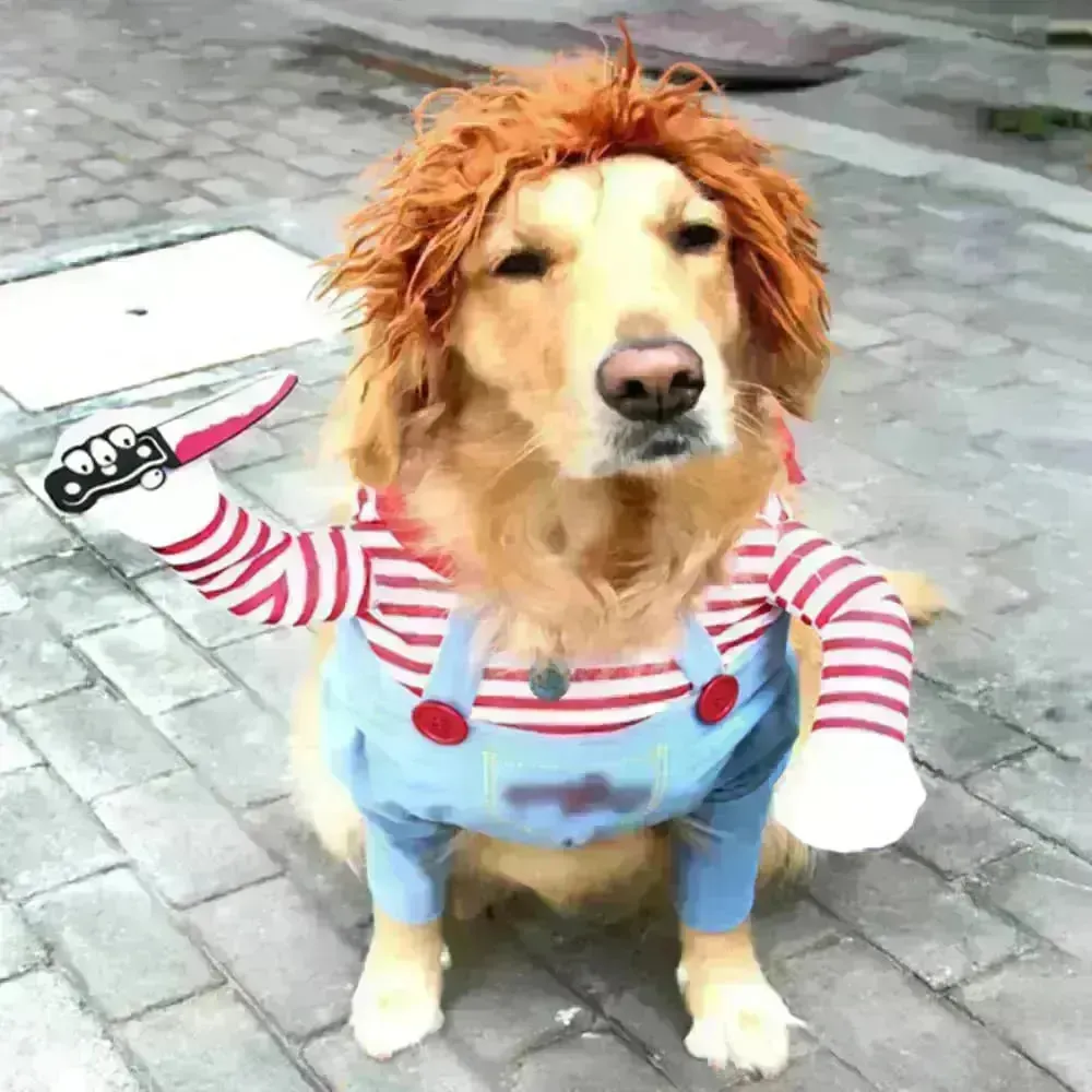 Pet Halloween Knife Costume