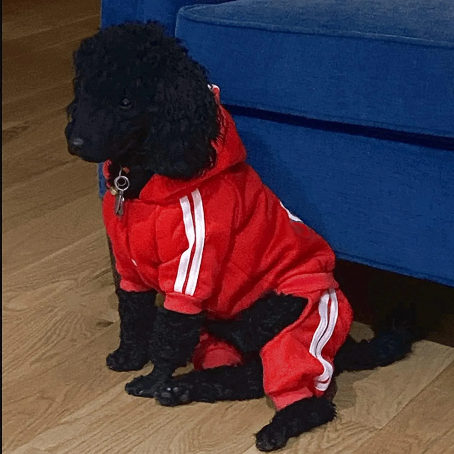 Pet Outfit - Cute Dog Hoodie Sweater Tracksuit Winter Clothes Jumpsuit Pajamas 4-Legs Red for Puppy Small Medium Large Dogs Boy or Girl (XX-Large)