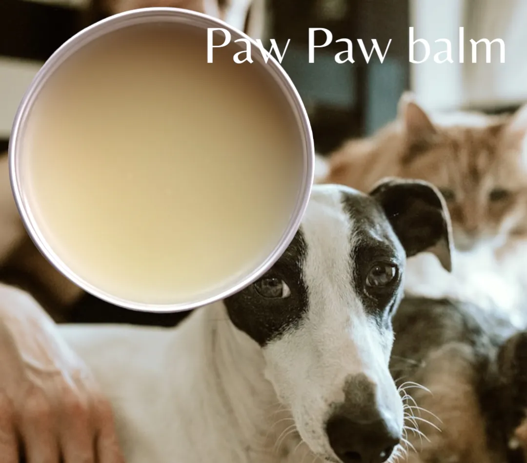 Pet paw balm