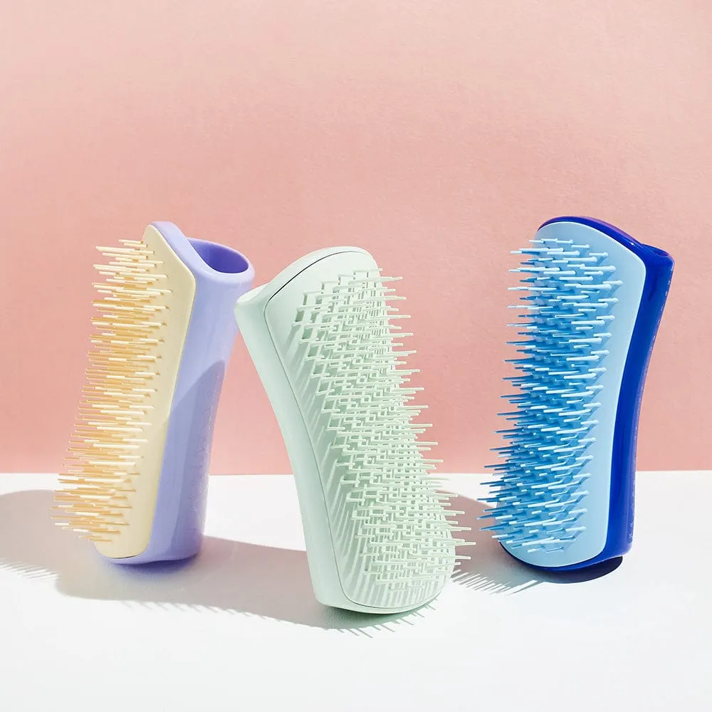 Pet Teezer mini brush