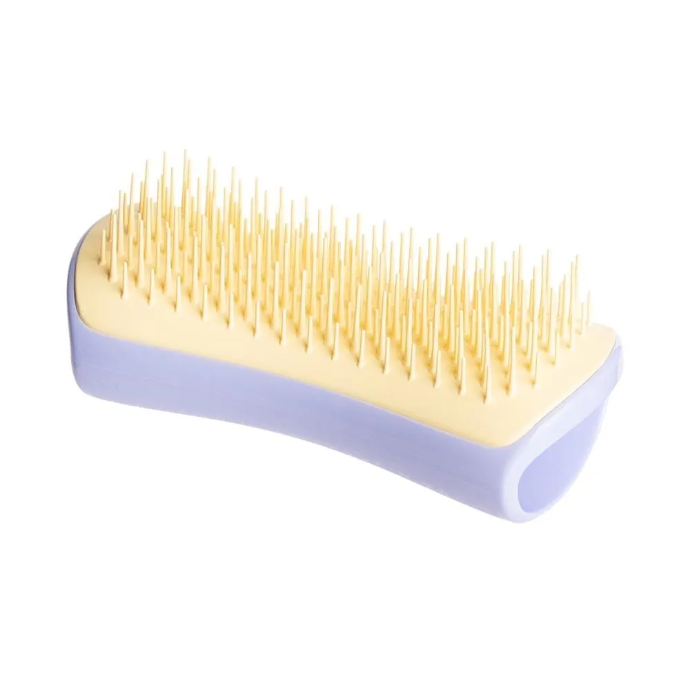 Pet Teezer mini brush