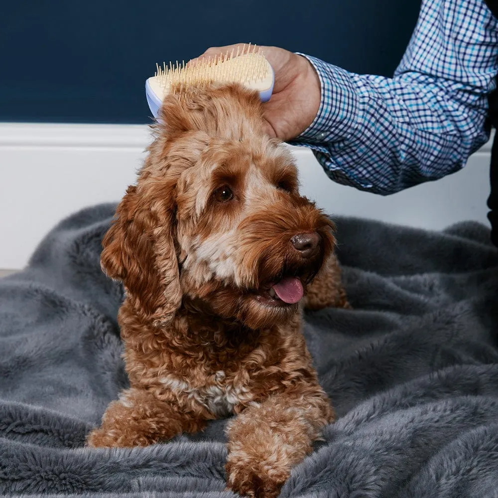 Pet Teezer mini brush