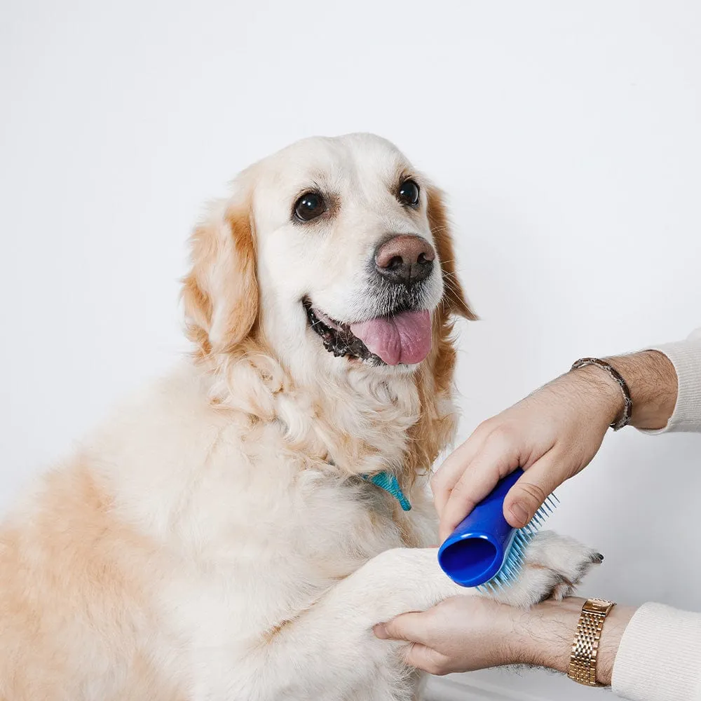 Pet Teezer mini brush