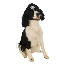 Pirate Boy Pet Hat