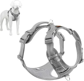 Plutus Pet No Pull ,,,,,,M 