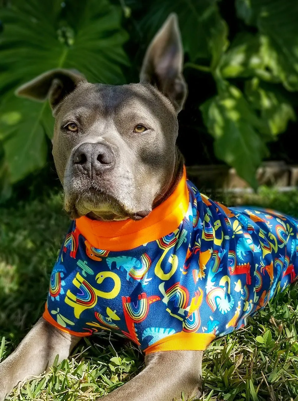 Rainbow Dinosaur Dog Pajamas