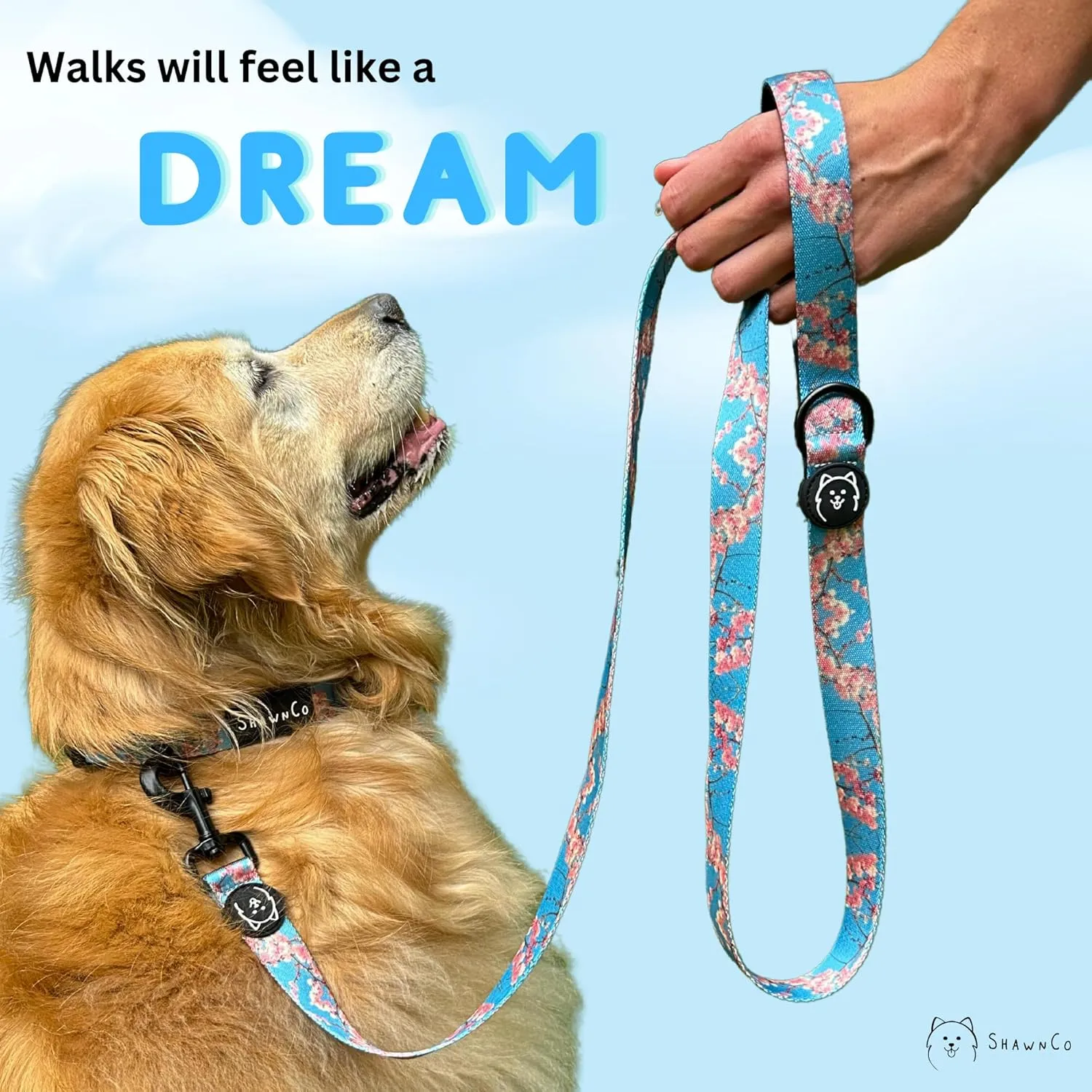 ShawnCo Dream Walk Dog Leash- Premium, Nylon Pet Leash with Soft Neoprene Handle for Small, Medium and Large Dogs (Orchid, Medium/Large)