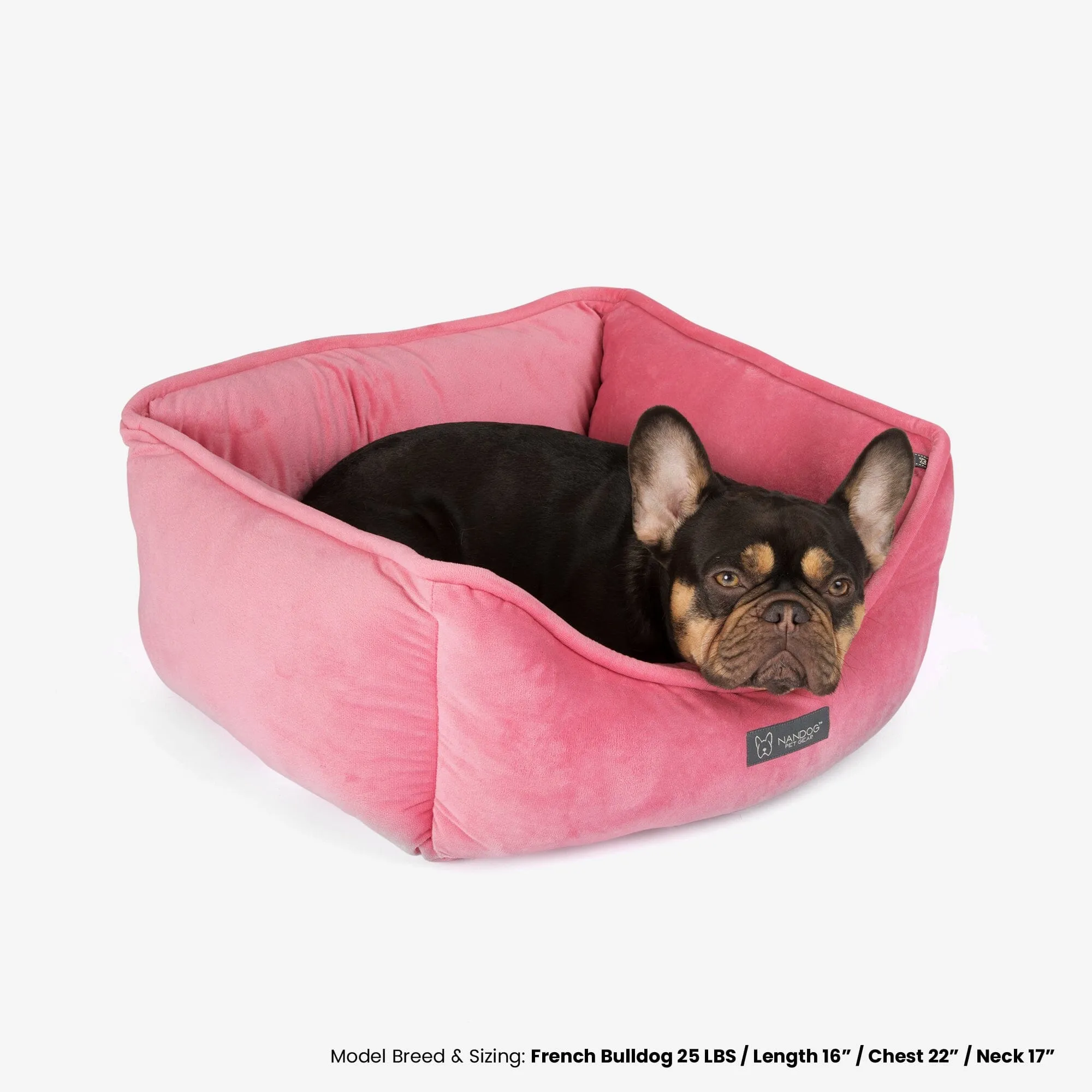 Signature Bed in Electric Pink