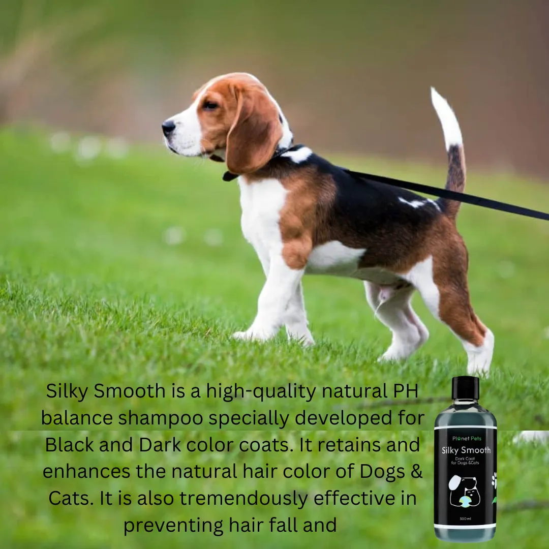 Silky Smooth Pet Shine Shampoo