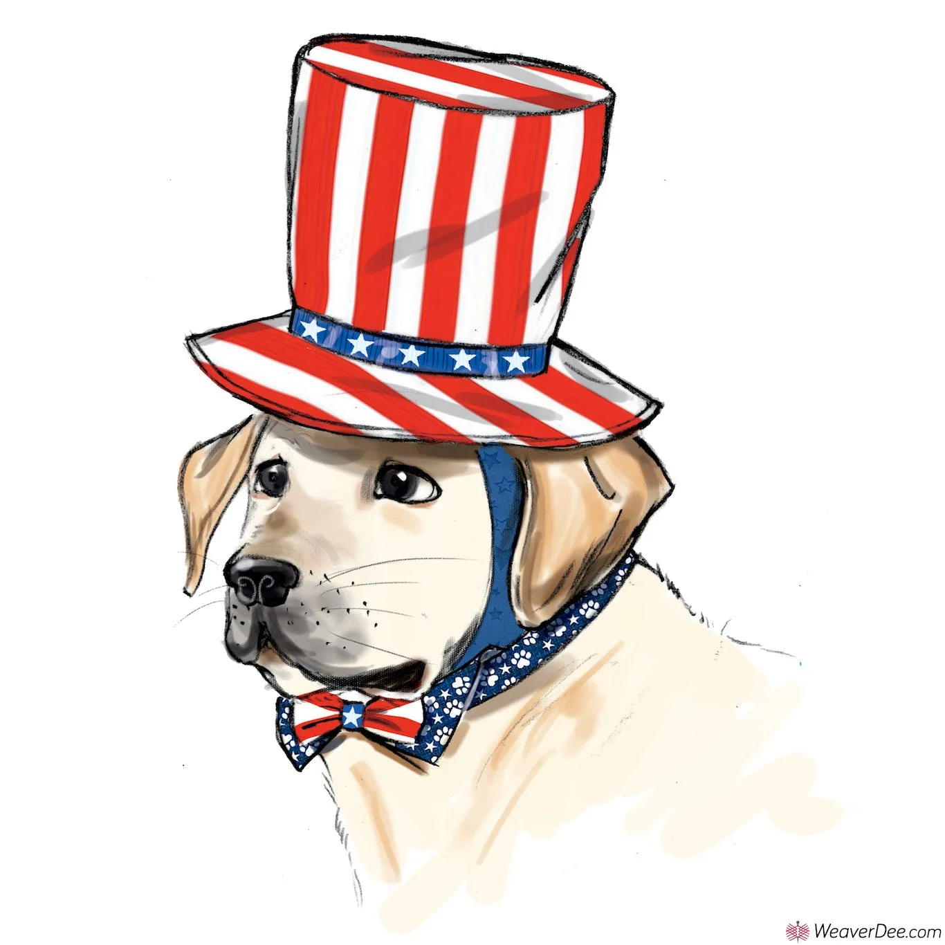 Simplicity Pattern S9497 Hats for Dogs / Pets
