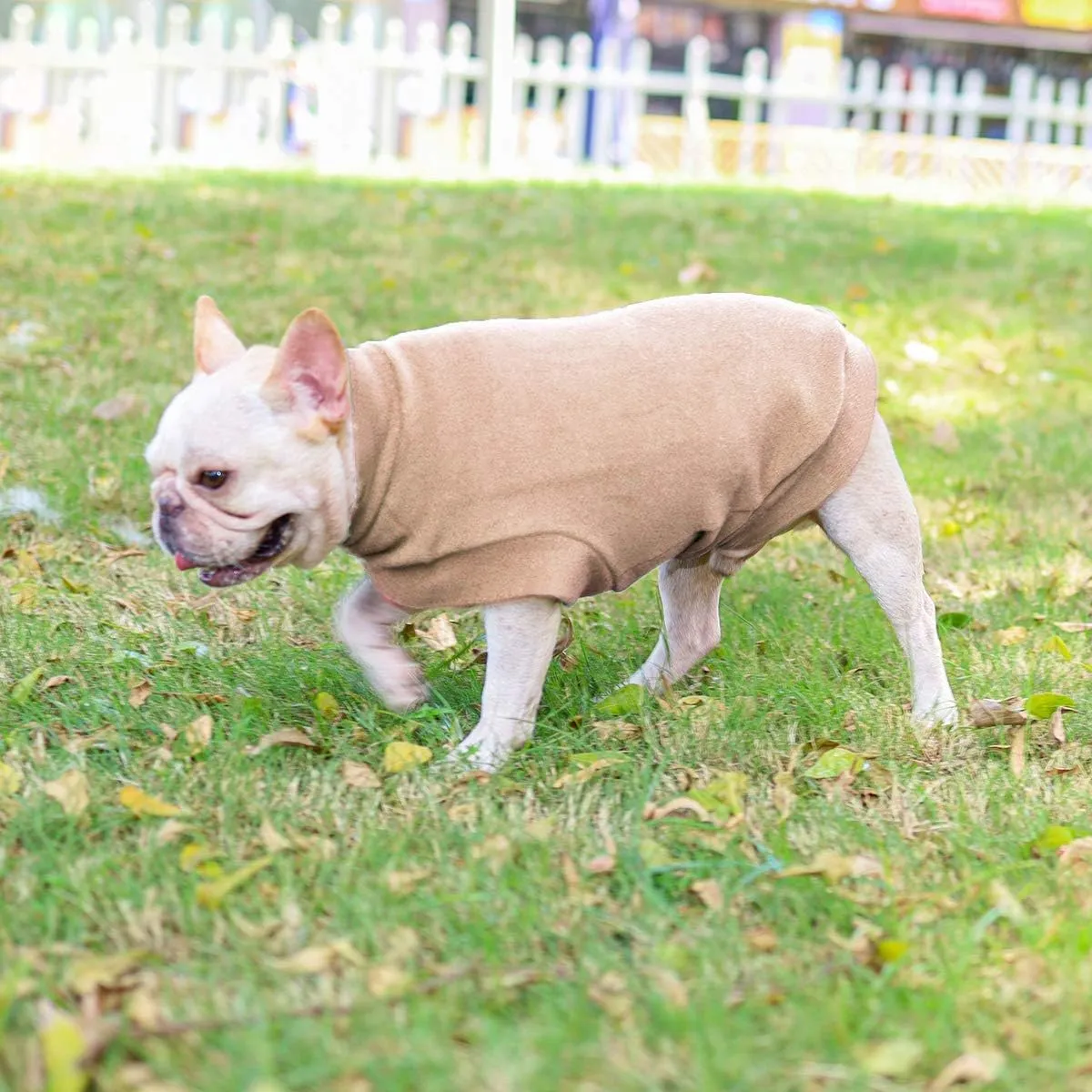 Small Dogs Fleece Dog Sweatshirt - Cold Weather Hoodies Spring Soft Vest Thickening Warm Cat Sweater Puppy Clothes Sweater Winter Sweatshirt Pet Pajamas for Small Dog Cat Puppy (Medium, Beige)