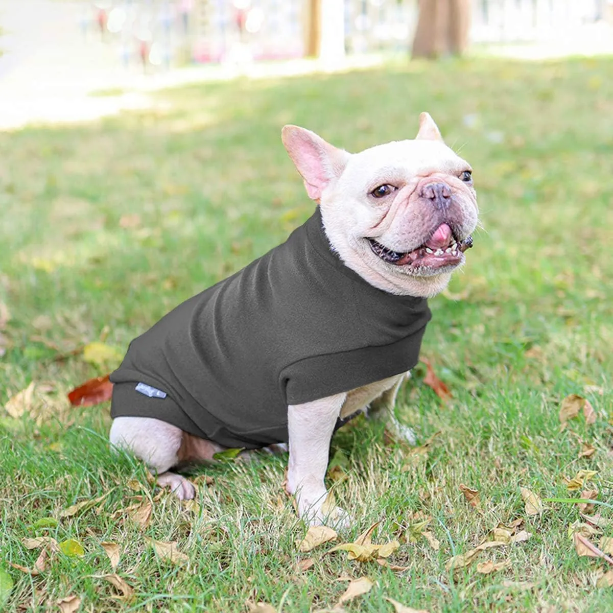 Small Dogs Fleece Dog Sweatshirt - Cold Weather Hoodies Spring Soft Vest Thickening Warm Cat Sweater Puppy Clothes Sweater Winter Sweatshirt Pet Pajamas for Small Dog Cat Puppy (Small, Dark Grey)