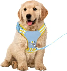Small Medium Dog Harness Adjustable Padded Vest Breathable Mesh, Dog Harness Medium Sized for 11-22 LBS Small Medium Dog Harness Adjustable Padded Vest Breathable Mesh, Dog Harness Medium Sized for 11-22 LBS