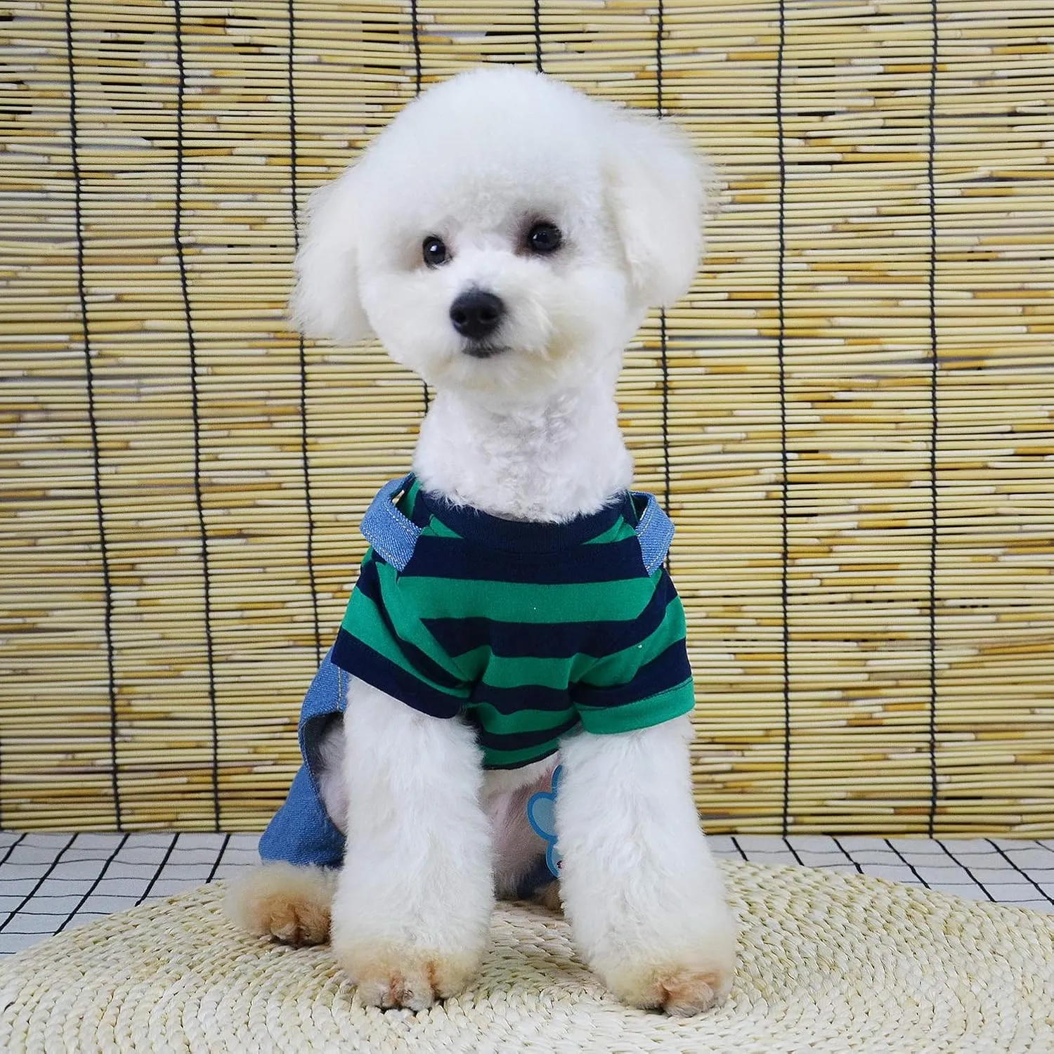 SMALLLEE_LUCKY_STORE Pet Stripe Sweater Shirt Denim Overalls for Small Dogs Cats Boy Girl Tshirt Pants 4 Legged Outfits Puppy Jumpsuit Yorkie Chihuahua Clothes,Green,Size M