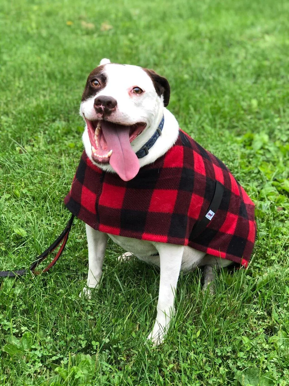 SnugPups Double Lined Poly Fleece Coats
