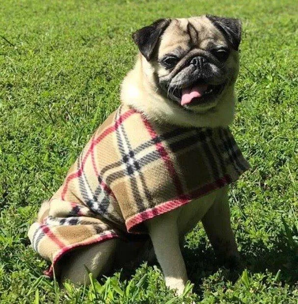 SnugPups Double Lined Poly Fleece Coats