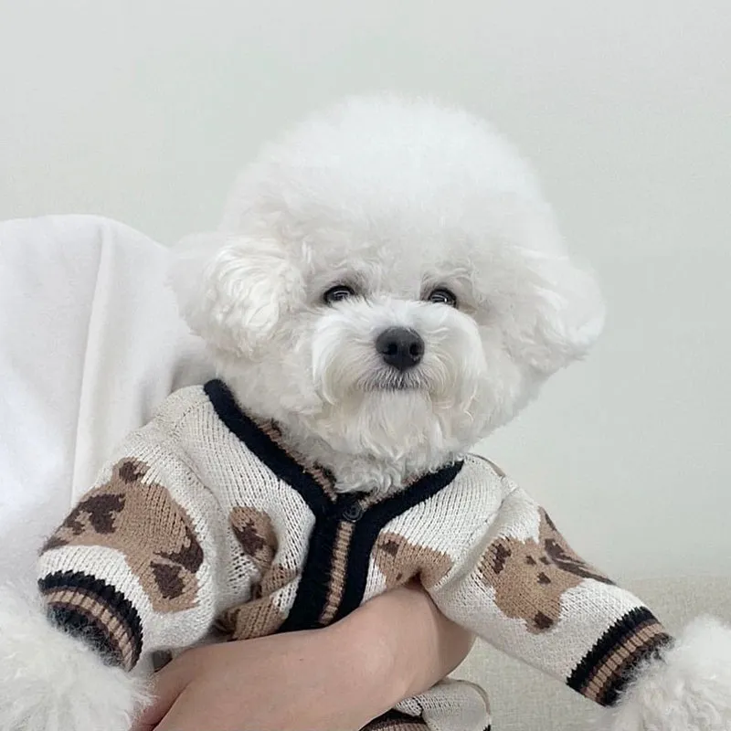 Teddy Print Button Front Pet Cardigan Sweater