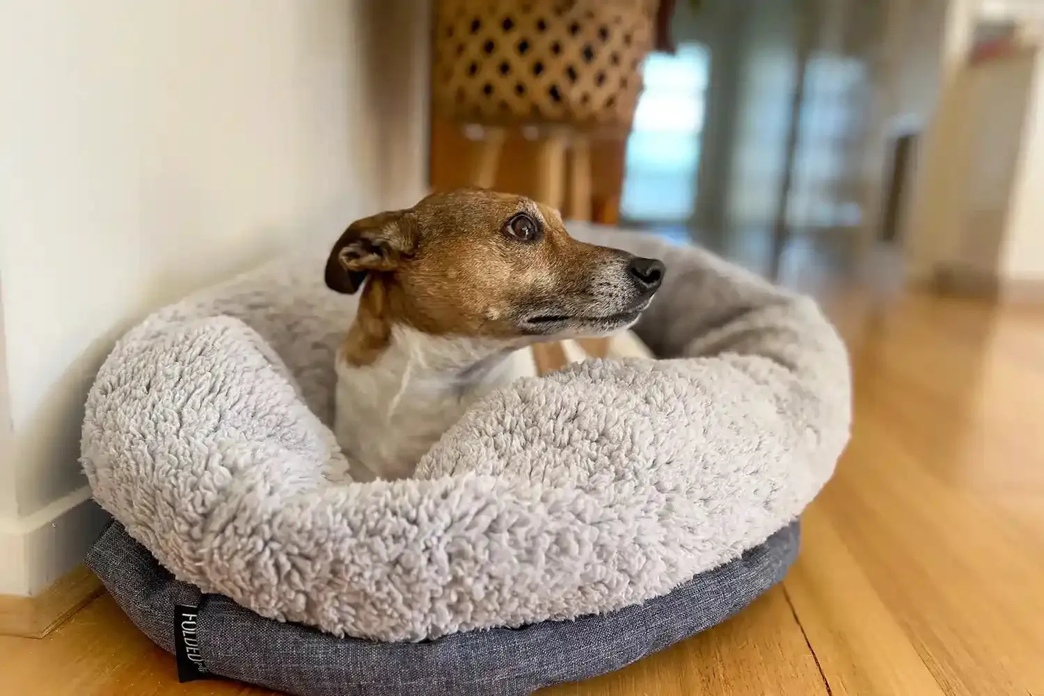 The Folded Pouch Pet Bed
