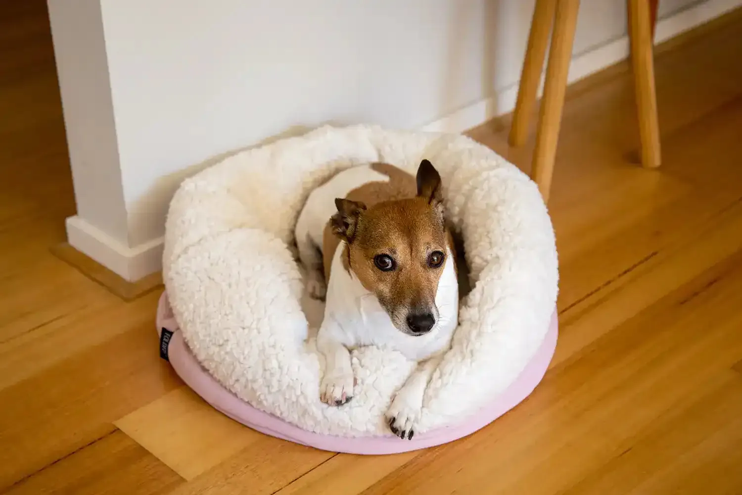 The Folded Pouch Pet Bed