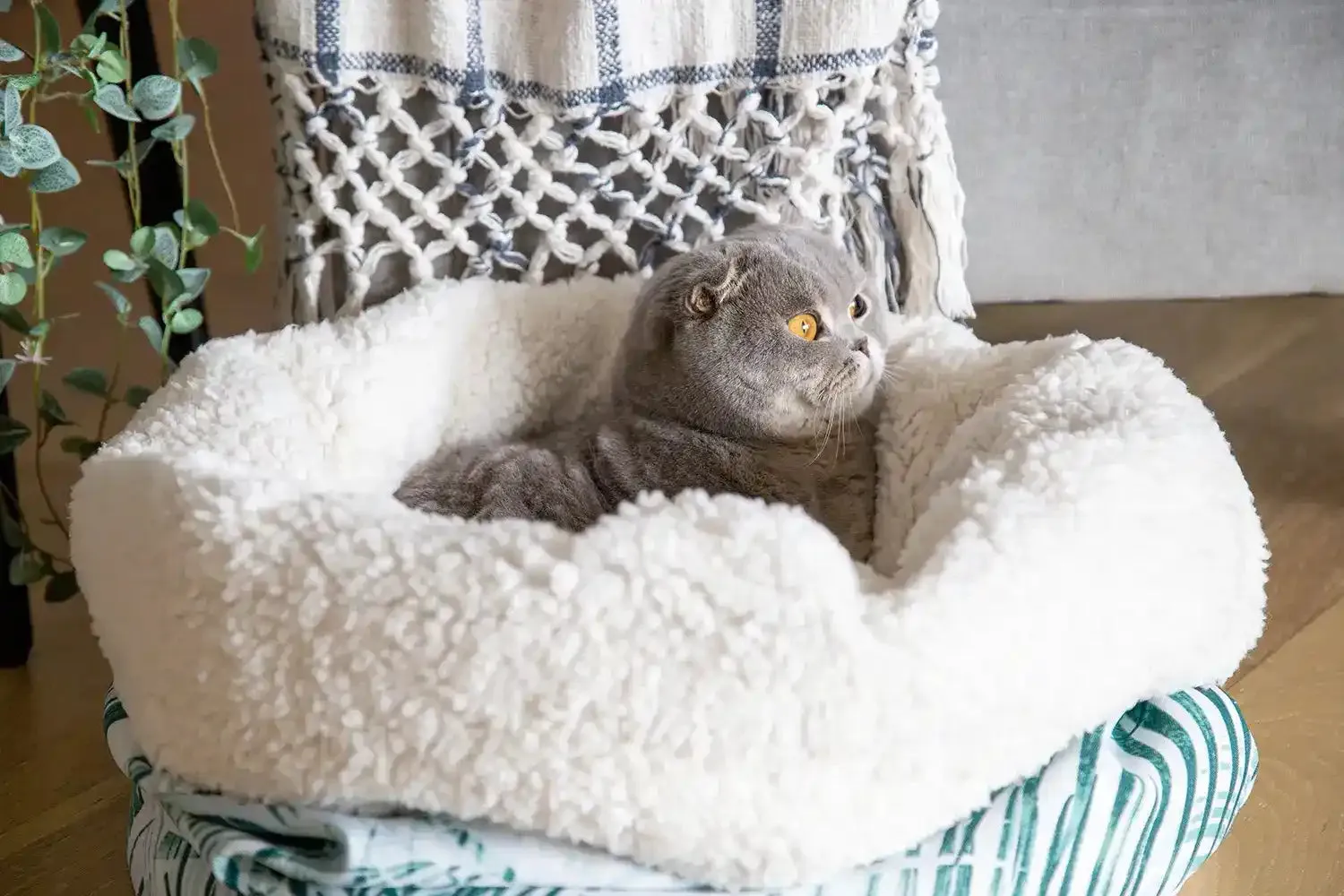 The Folded Pouch Pet Bed