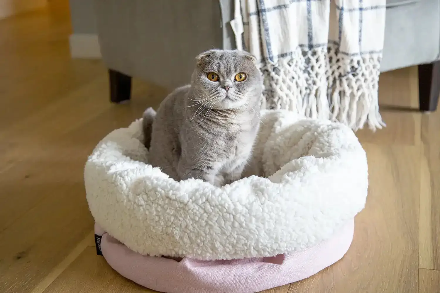 The Folded Pouch Pet Bed