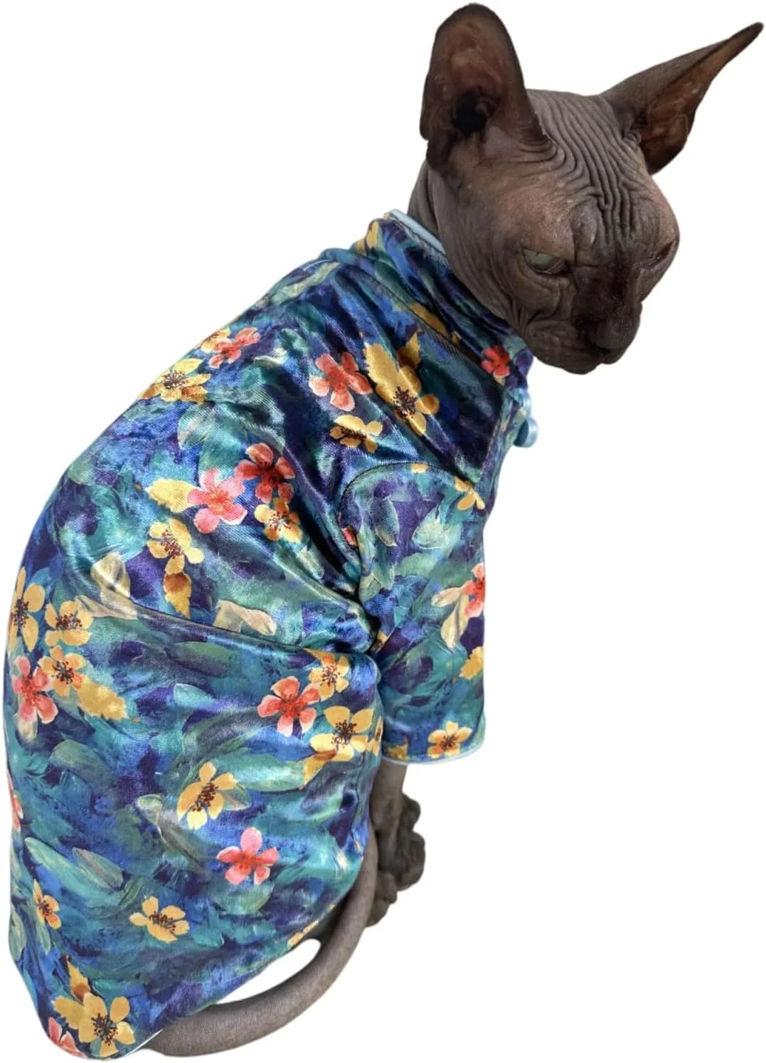 Traditional Culture Sphynx Hairless Cat Cotton T-Shirts Clothes Pet Sweater Cat Vest Pet Clothes Kitten Shirts Small Dogs Apparel (Hawthorn, S (3.3-5 lbs))