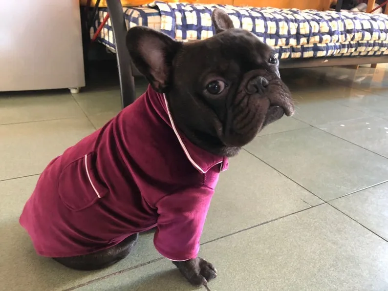 Velvet Button Luxury PJ Pajamas Sleepwear