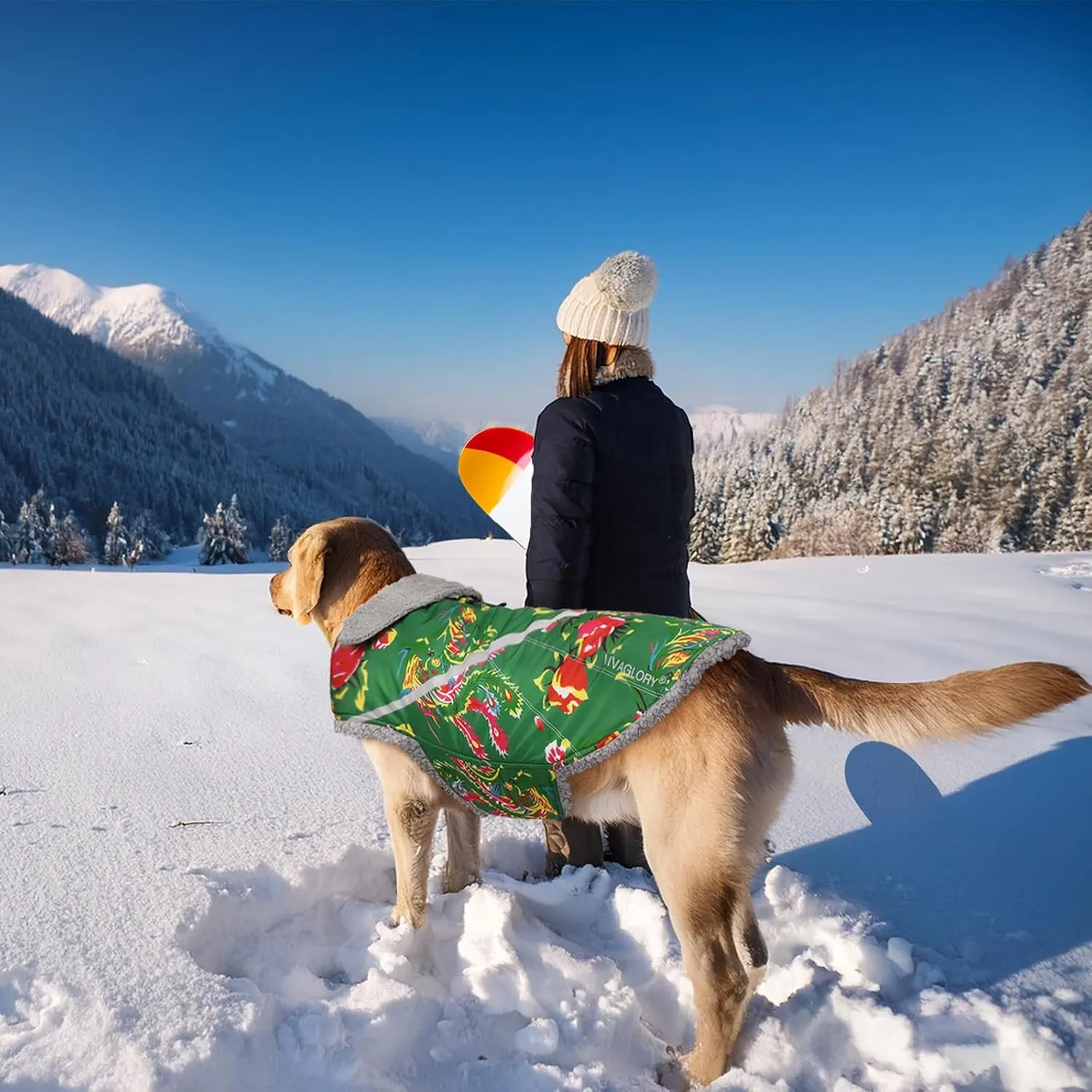 VIVAGLORY Warm Dog Fleece Vest Jacket with Two-Way Zipper Opening, Pet Jacket with Fleece Lining for Small Pets, Northeast Florals-Green, M