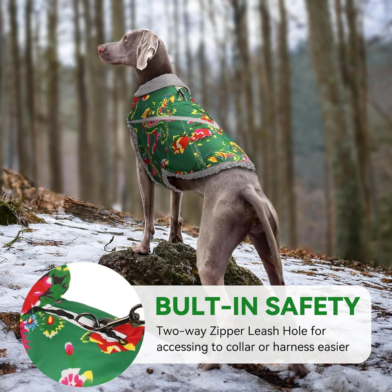 VIVAGLORY Warm Dog Fleece Vest Jacket with Two-Way Zipper Opening, Pet Jacket with Fleece Lining for Small Pets, Northeast Florals-Green, M